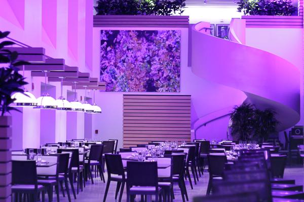 Muse at The Ringling